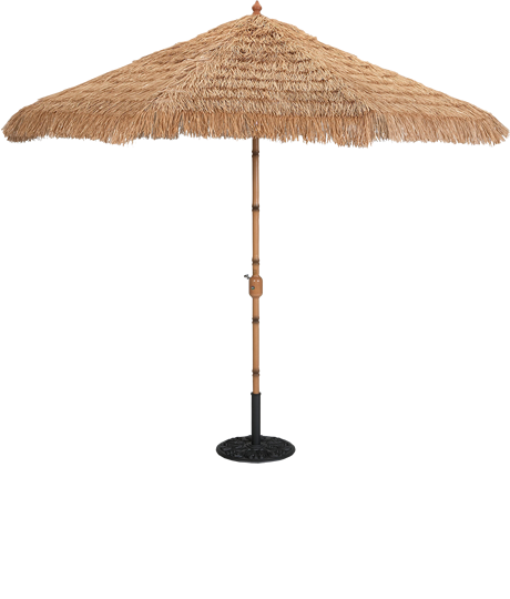 Thatch Thatch